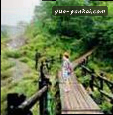 李阳